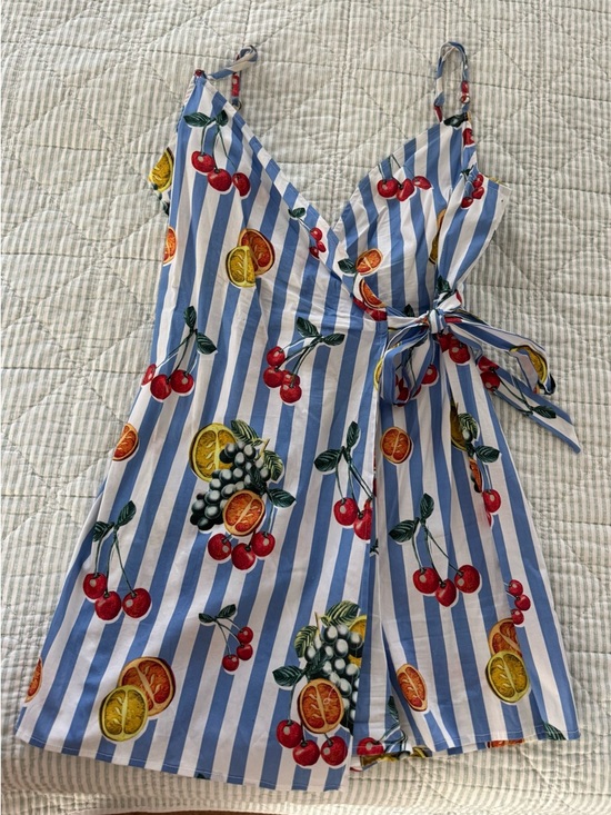 Show Me Your MuMu Dresses & Skirts - Show Me Your MuMu Blue White Striped Fruit Wrap Dress